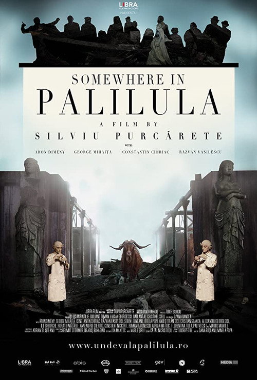 Undeva La Palilula poster