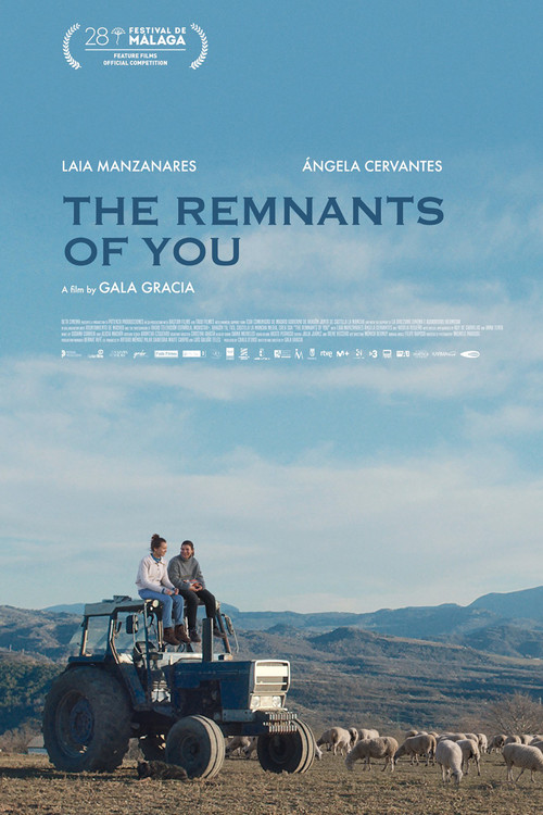 The Remnants Of You - Lo Que Queda De Ti poster