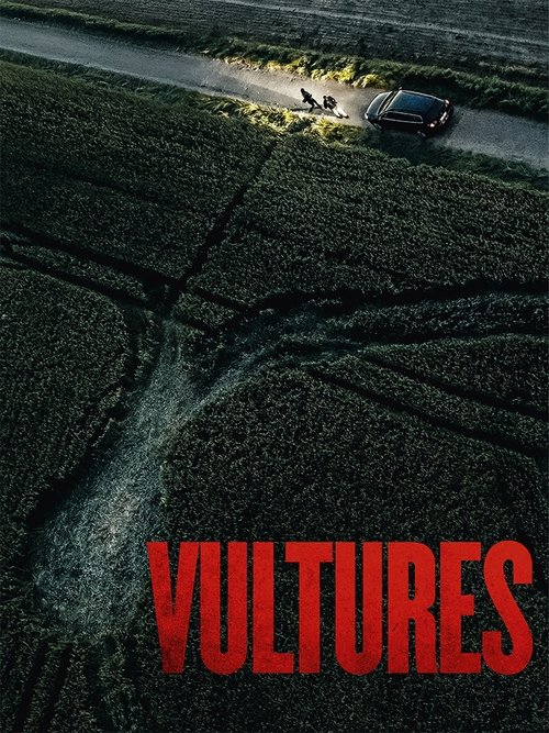 Vultures - Rapaces poster